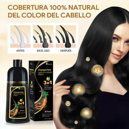 KAISASA-3 en 1 champú de tinte negro para el cabello, puede cubrir las canas, ingredientes herbales, contiene extracto de Ginseng, colorante Natural