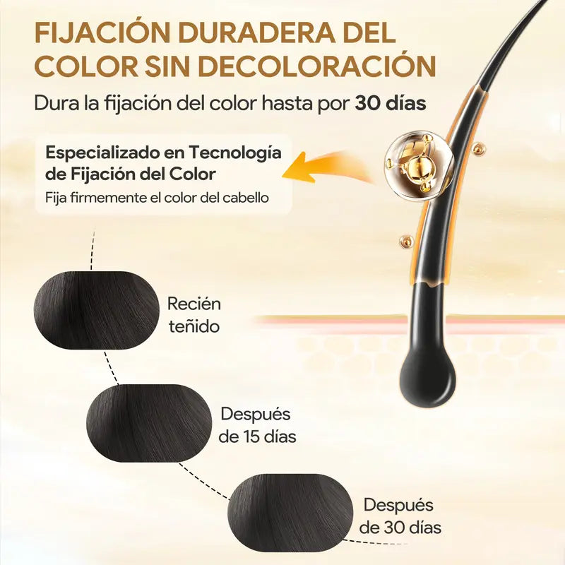 KAISASA-3 en 1 champú de tinte negro para el cabello, puede cubrir las canas, ingredientes herbales, contiene extracto de Ginseng, colorante Natural