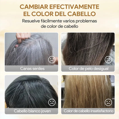 KAISASA-3 en 1 champú de tinte negro para el cabello, puede cubrir las canas, ingredientes herbales, contiene extracto de Ginseng, colorante Natural
